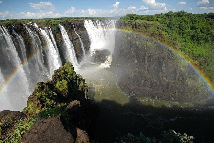 Guided Tour: Victoria Falls Rainforest & Big Tree Views