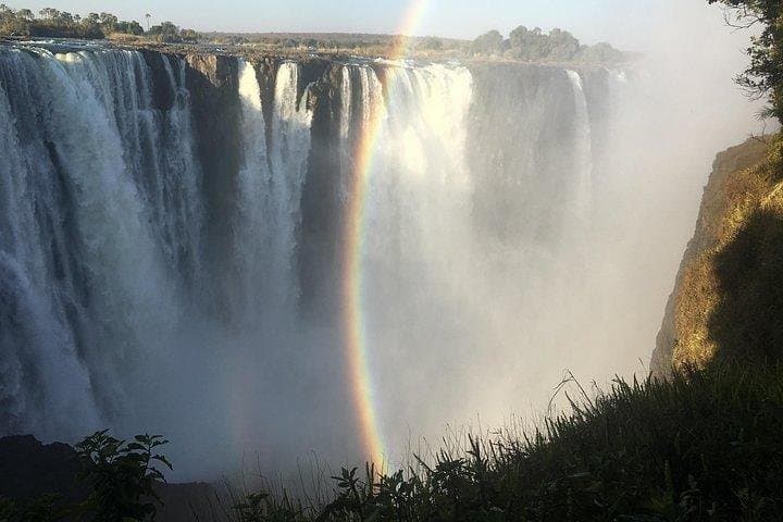 Guided Tour: Victoria Falls Rainforest & Big Tree Views photo 3