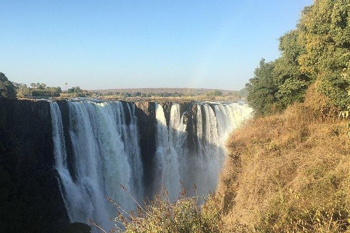 Guided Tour: Victoria Falls Rainforest & Big Tree Views photo 5