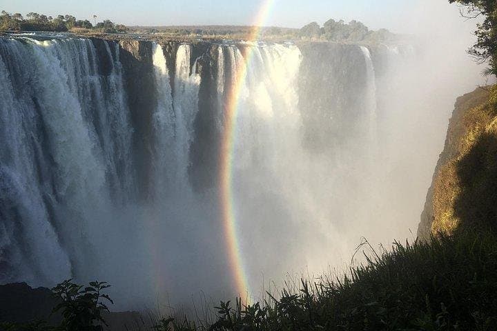 Guided Tour: Victoria Falls Rainforest & Big Tree Views photo 6