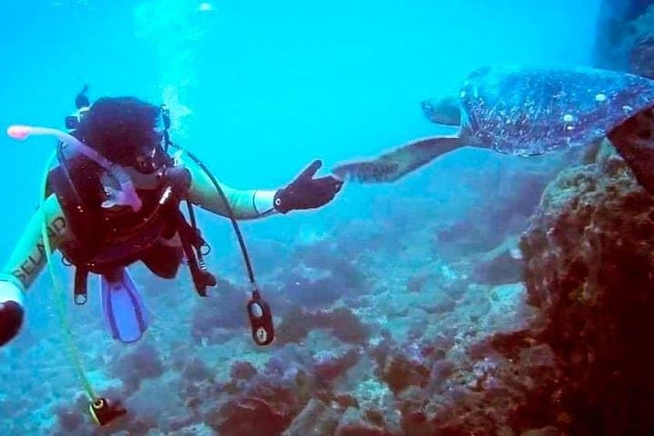 Coastal Diving in Machalilla National Park: Reefs, Turtles & Whale Season