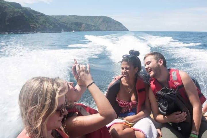 Coastal Diving in Machalilla National Park: Reefs, Turtles & Whale Season photo 2