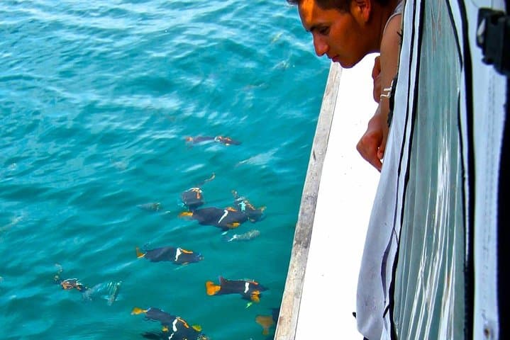 Coastal Diving in Machalilla National Park: Reefs, Turtles & Whale Season photo 4