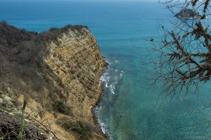 Coastal Diving in Machalilla National Park: Reefs, Turtles & Whale Season photo 3