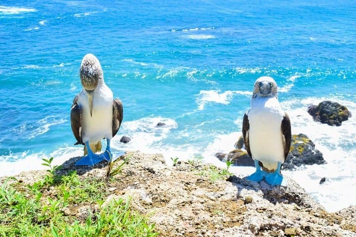 Snorkel, Kayak & Fish: Machalilla National Park Coastal Adventure photo 3