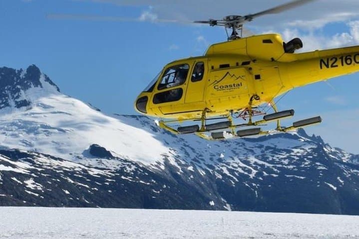 Juneau Helicopter Tour and Herbert Glacier Walk: Shore Excursion Guide photo 6