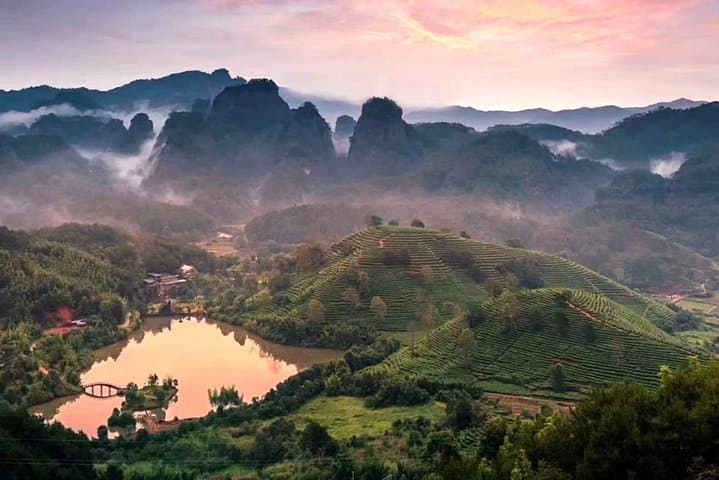 2-Day Wuyi Mountain Private Tour from Xiamen: Bullet Train, Bamboo Rafting & Tea Plantation photo 3