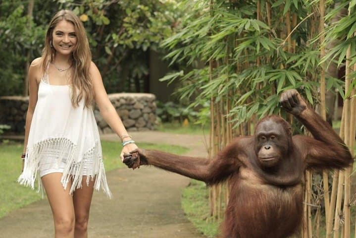 Inside Lombok Wildlife Park: Elephants, Orangutans & Rainforest Breakfast photo 6