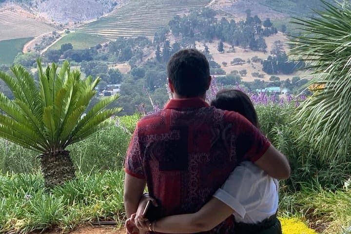 Full-Day Constantia Wine Tasting and Table Mountain — Cape Town Wine & Summit Tour photo 4