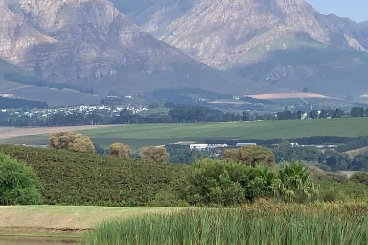 Full-Day Constantia Wine Tasting and Table Mountain — Cape Town Wine & Summit Tour photo 6