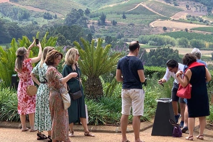 Full-Day Constantia Wine Tasting and Table Mountain — Cape Town Wine & Summit Tour photo 5