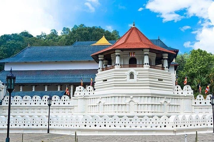 3-day-glimpse-of-sri-lanka-kandy-sigiriya-dambulla-minneriya photo 6
