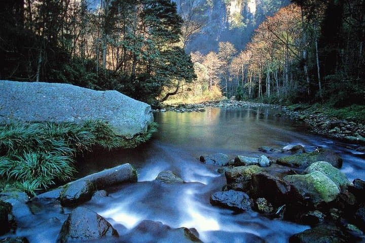 Zhangjiajie in Two Days: Pillar Peaks, Bailong Elevator & Golden Whip Stream Highlights photo 4