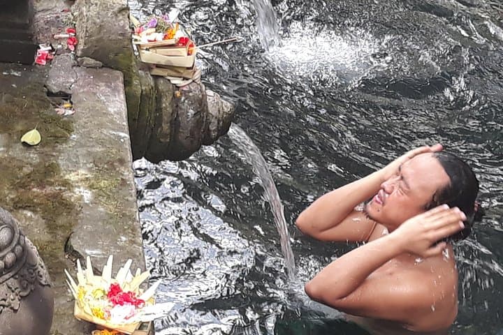 Ubud Full-Day Tour: Monkey Forest, Tegalalang Rice Terrace & Bali Swing