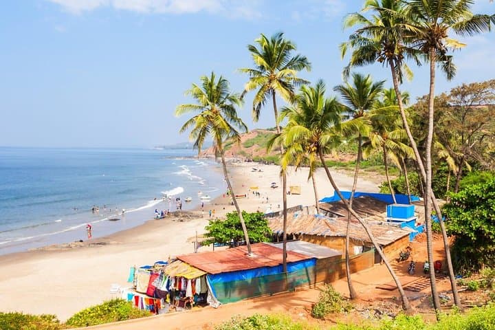 Kerala in 6 Days: Kochi, Backwaters & Kovalam Private Tour photo 2