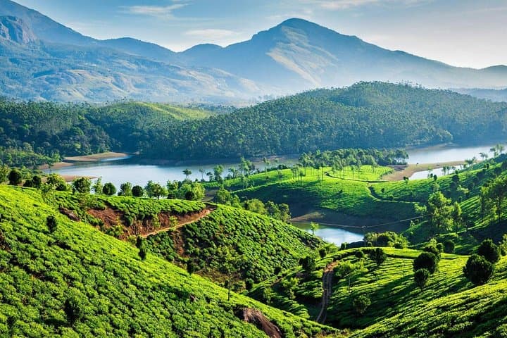 Kerala in 6 Days: Kochi, Backwaters & Kovalam Private Tour photo 3