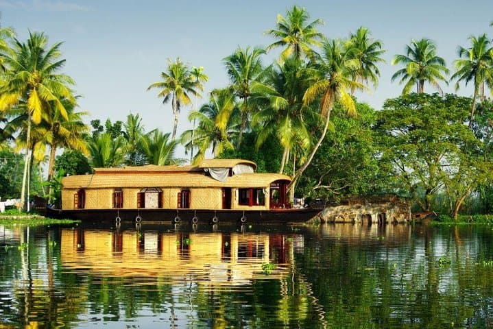 Kerala in 6 Days: Kochi, Backwaters & Kovalam Private Tour photo 4