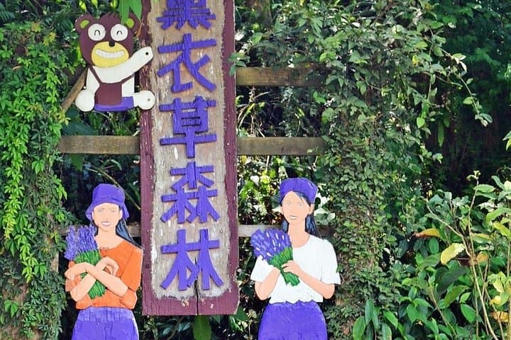 Taichung Lavender Cottage Day Tour: Lavender, Mushroom Farms & Luce Chapel