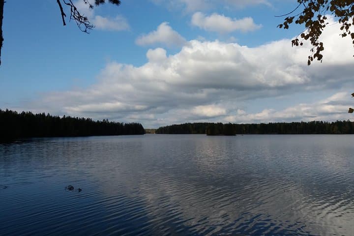 Kalliojärvi Loop: 10km Pine-Forest Hike Around Rocky Lake in Lapakisto