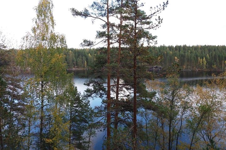 Kalliojärvi Loop: 10km Pine-Forest Hike Around Rocky Lake in Lapakisto photo 3