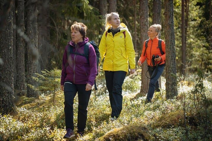 Kalliojärvi Loop: 10km Pine-Forest Hike Around Rocky Lake in Lapakisto photo 4
