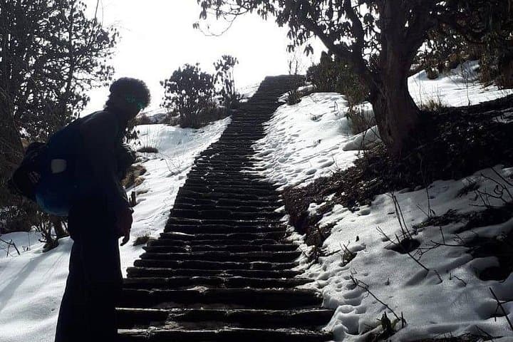 4-Day Pokhara Valley Trek: Poon Hill, Ghorepani & Ghandruk photo 3