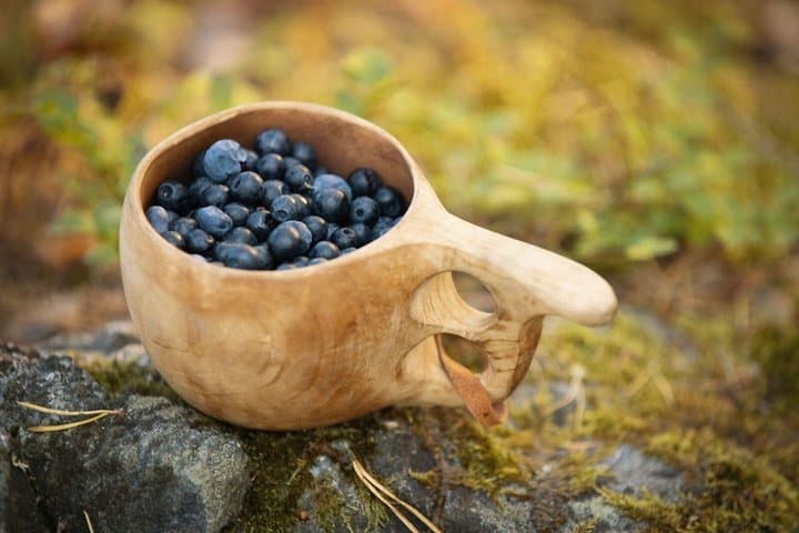 Foraging Wildfood in the Finnish Forest: Berries, Herbs & Mushrooms photo 2