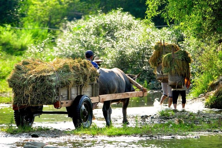 Pu Luong Nature Reserve: 2-Day Trek, Cave & Bamboo Rafting from Hanoi photo 6