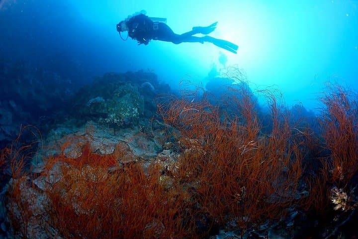 Aqaba Shore PADI Advanced Open Water Course — 2-Day Shore Dives in the Red Sea
