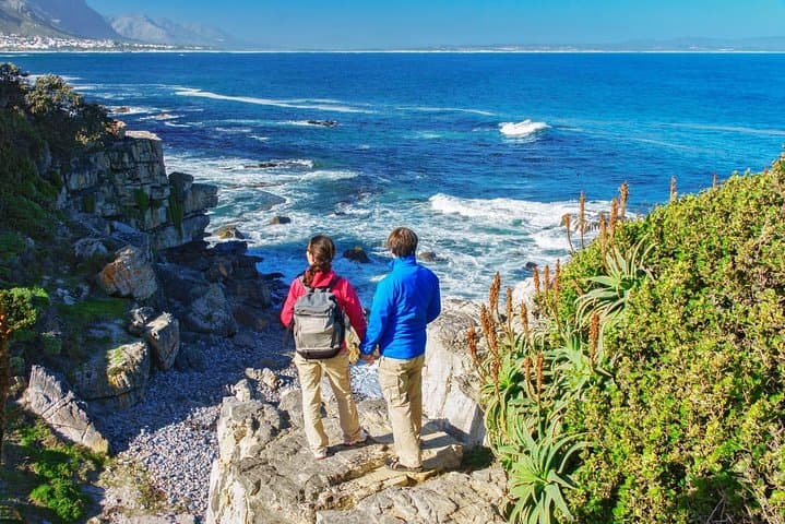 Full-Day Whale Watching and Hemel-en-Aarde Wine Tour from Cape Town photo 2
