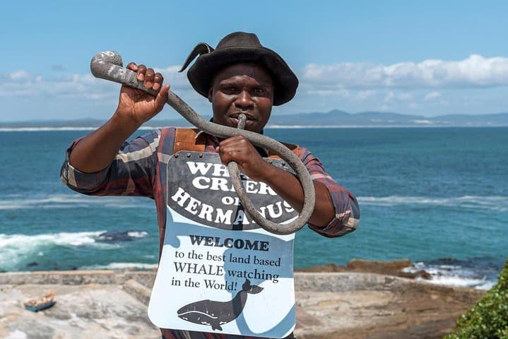 Full-Day Whale Watching and Hemel-en-Aarde Wine Tour from Cape Town photo 4