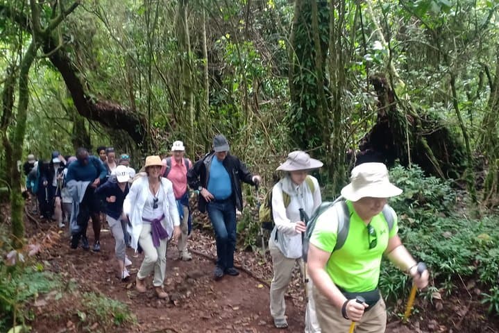 6-Day Marangu Route Kilimanjaro Trek to Uhuru Peak