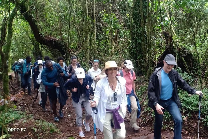 6-Day Marangu Route Kilimanjaro Trek to Uhuru Peak photo 3