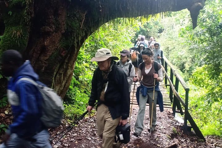 6-Day Marangu Route Kilimanjaro Trek to Uhuru Peak photo 4