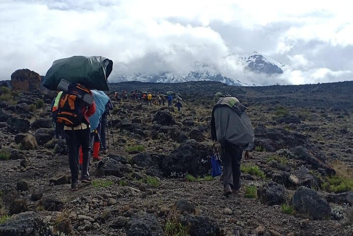 6-Day Marangu Route Kilimanjaro Trek to Uhuru Peak photo 5