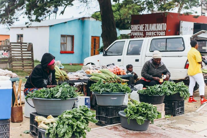 Walmer Township Experience: Guided Cultural Walk in Port Elizabeth