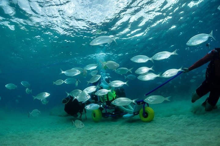 Accessible Sea Trek and Scuba in Lanzarote: Underwater Wheelchair Adventures photo 4