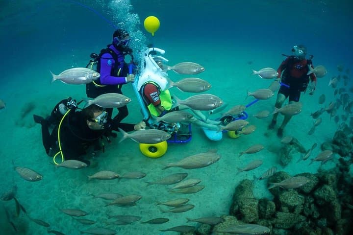Accessible Sea Trek and Scuba in Lanzarote: Underwater Wheelchair Adventures photo 5