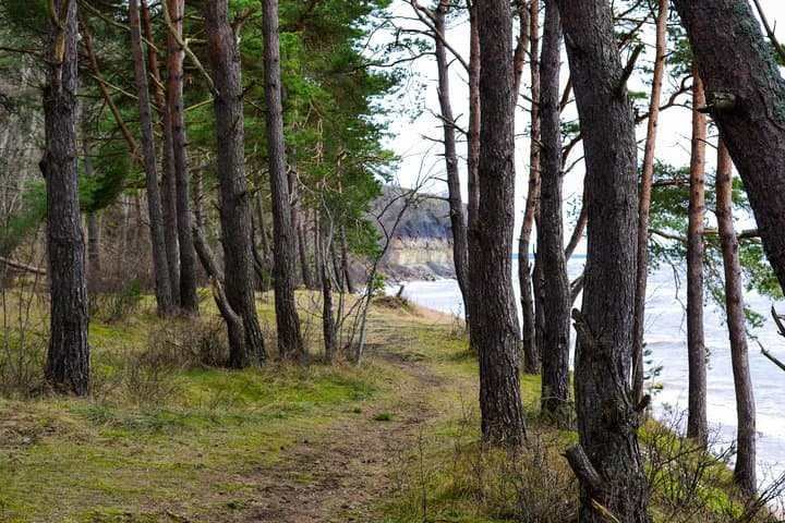 Rummu Submerged Quarry & Pakri Coastal Cliffs Half-Day Tour from Tallinn photo 6
