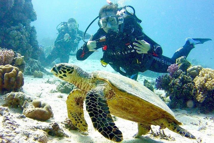 Hurghada Full-Day Beginner Diving: Explore the Red Sea Reefs photo 4