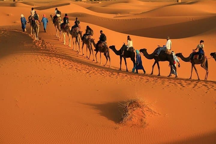 3-Day Private Desert Tour from Marrakech to Merzouga with Camel Ride photo 4