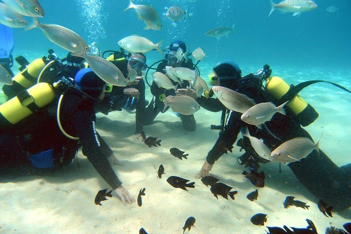 Lanzarote Basic Scuba: 2-Dive Intro to Volcanic Reefs