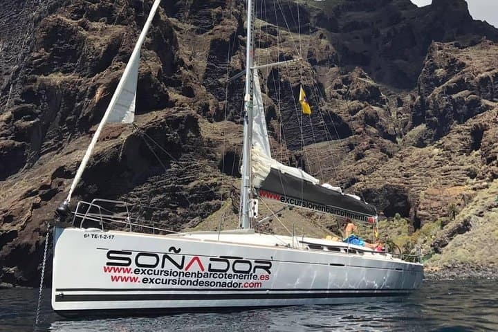 3-Hour Tenerife Whale & Dolphin Yacht Trip to Los Gigantes