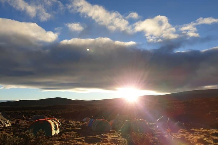 7-Day Machame Route Kilimanjaro Trek: Summit Uhuru Peak via Machame photo 6