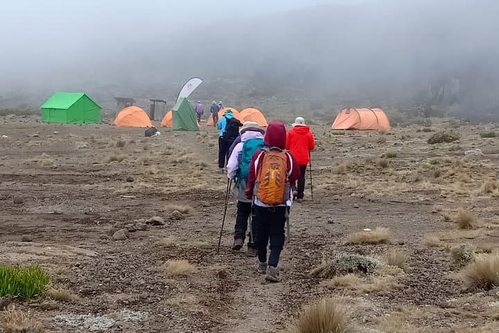7-Day Machame Route Kilimanjaro Trek: Summit Uhuru Peak via Machame photo 3