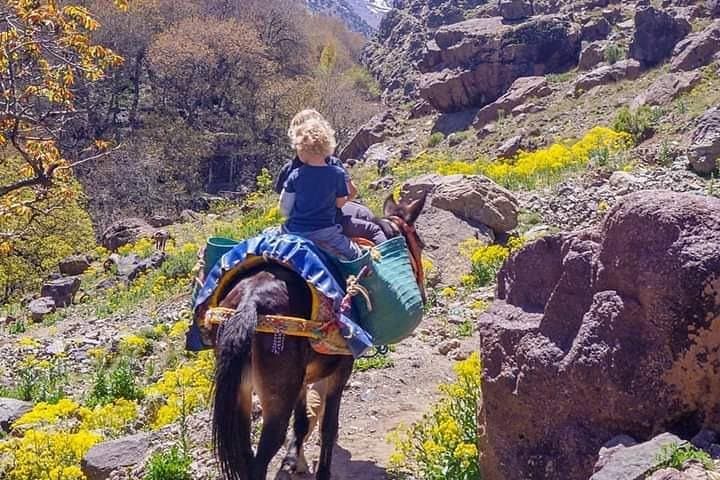 Ascent to Toubkal: 3-Day Mount Toubkal Summit Trek from Marrakech photo 6