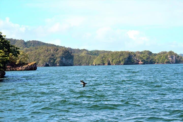 Los Haitises Hike and Mangrove Kayak from Sabana de la Mar photo 3