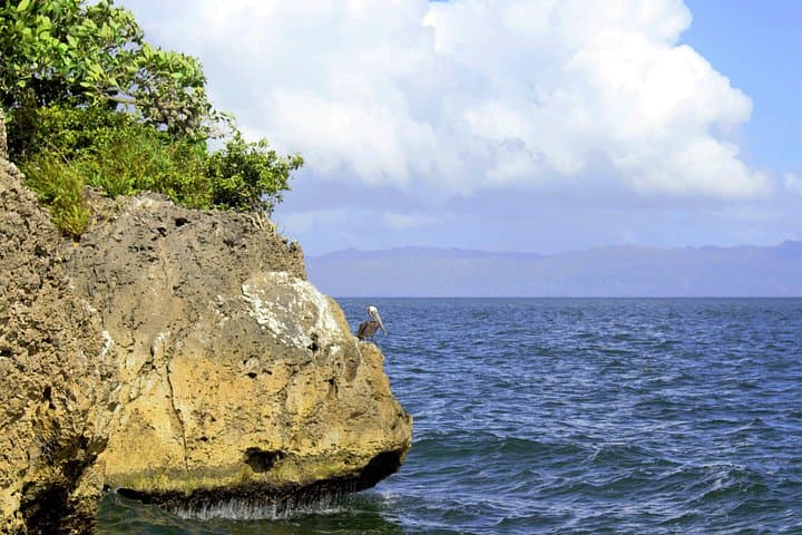 Los Haitises Hike and Mangrove Kayak from Sabana de la Mar photo 5