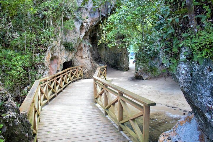 Los Haitises Hike and Mangrove Kayak from Sabana de la Mar photo 6