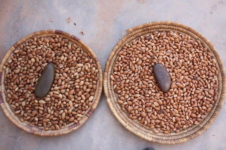 Argan Discovery Tour: From Tree to Treasure — Agadir Cooperative Visit photo 6